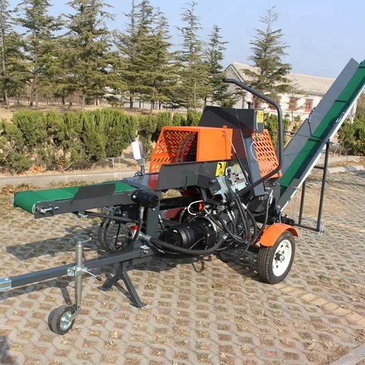 Log Splitter Electric - Rachador de Lenha Hidráulico Horizontal de